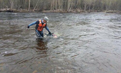 Мотоциклоор зорчиж яваад усанд осолдсон иргэнийг хайж байна